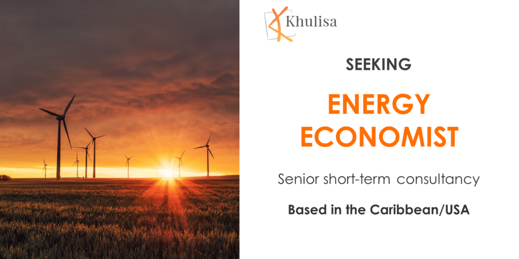 energy-economist-khulisa