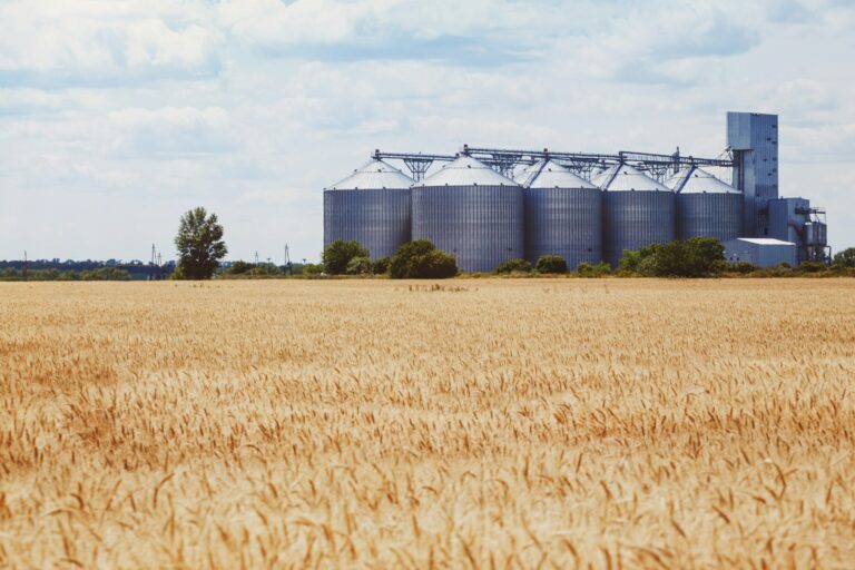 the grain elevator